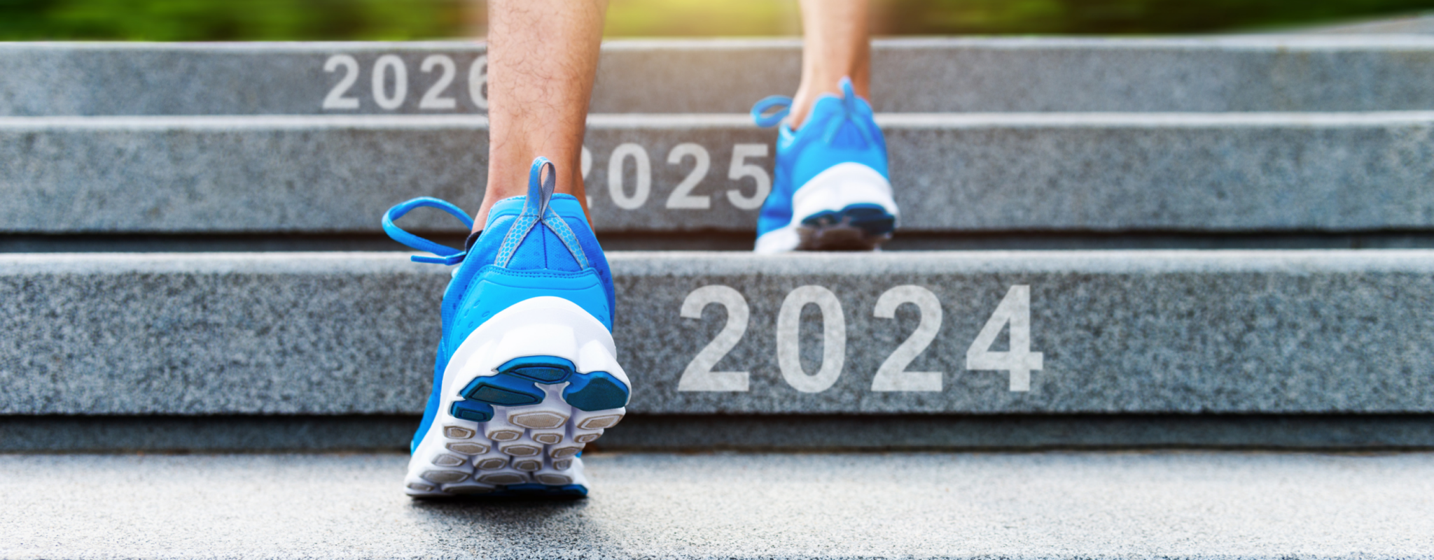 personal trainer planning for 2024 trends